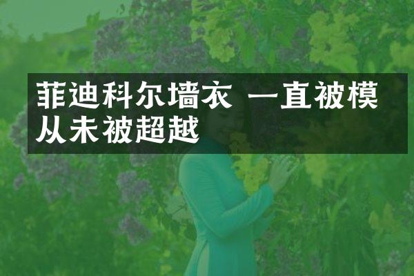 菲迪科尔墙衣 一直被模仿从未被超越