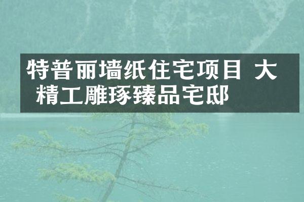 特普丽墙纸住宅项目 大匠精工雕琢臻品宅邸