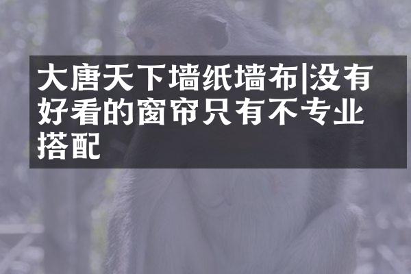 大唐天下墙纸墙布|没有不好看的窗帘只有不专业的搭配