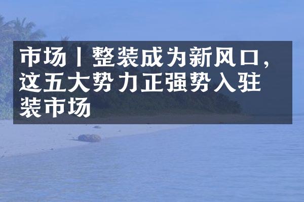 市场丨整装成为新风口，这五大势力正强势入驻整装市场