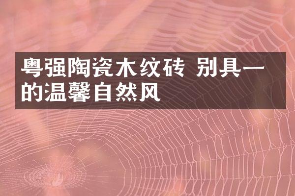 粤强陶瓷木纹砖 别具一格的温馨自然风