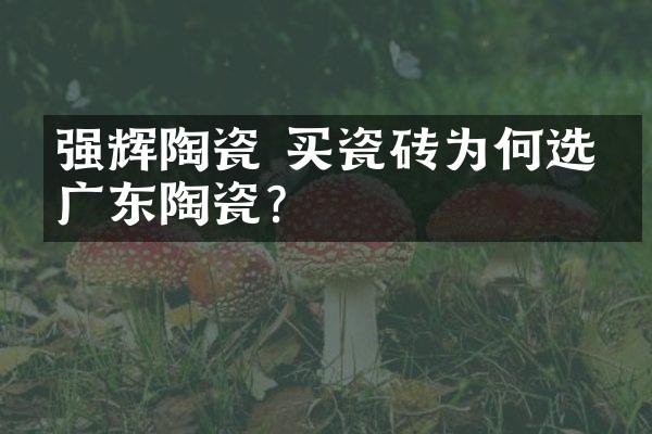 强辉陶瓷 买瓷砖为何选择广东陶瓷？