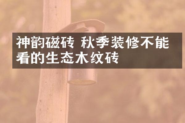 神韵磁砖 秋季装修不能不看的生态木纹砖