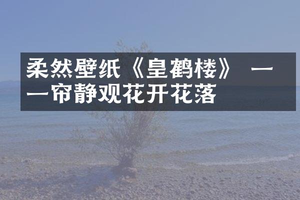 柔然壁纸《皇鹤楼》 一窗一帘静观花开花落