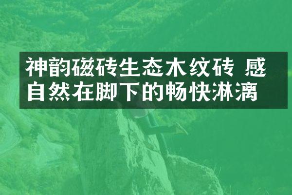 神韵磁砖生态木纹砖 感受自然在脚下的畅快淋漓
