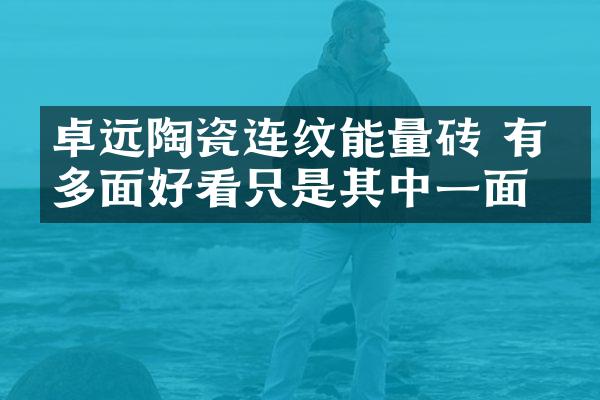 卓远陶瓷连纹能量砖 有很多面好看只是其中一面