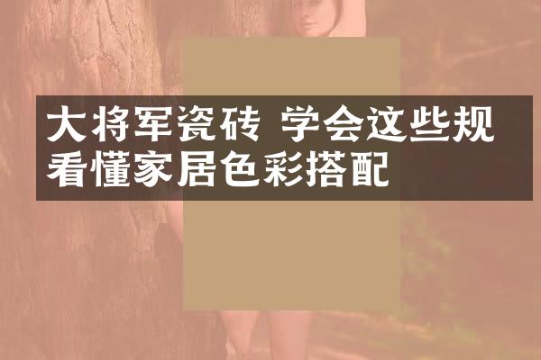 大将军瓷砖 学会这些规则看懂家居色彩搭配