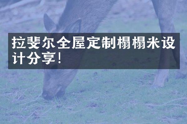 拉斐尔全屋定制榻榻米设计分享！