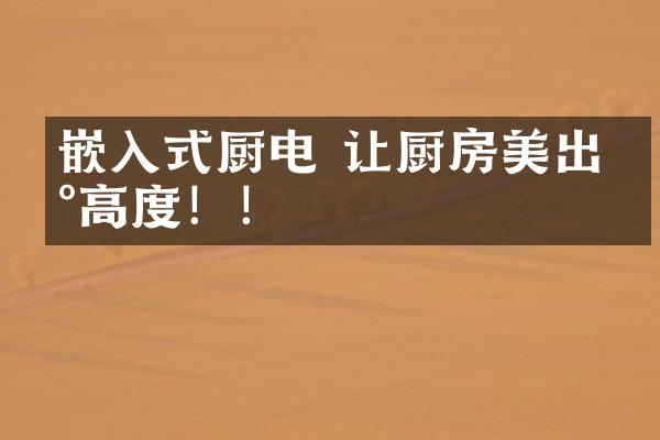 嵌入式厨电 让厨房美出新高度！！