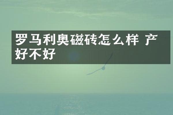 罗马利奥磁砖怎么样 产品好不好