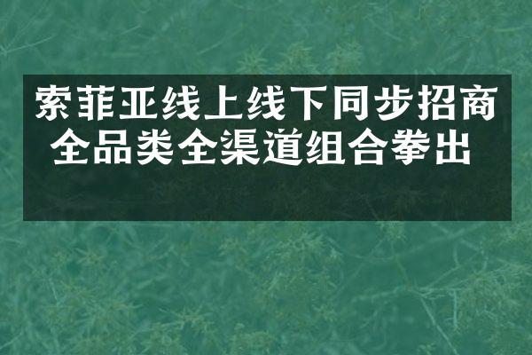 索菲亚线上线下同步招商 全品类全渠道组合拳出击