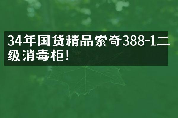 34年国货精品索奇388-1二星级消毒柜！