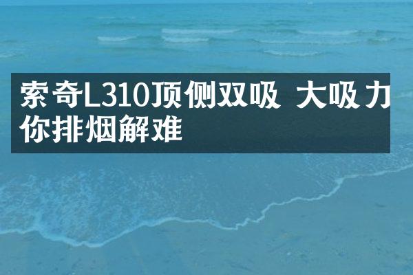 索奇L310顶侧双吸 大吸力为你排烟解难