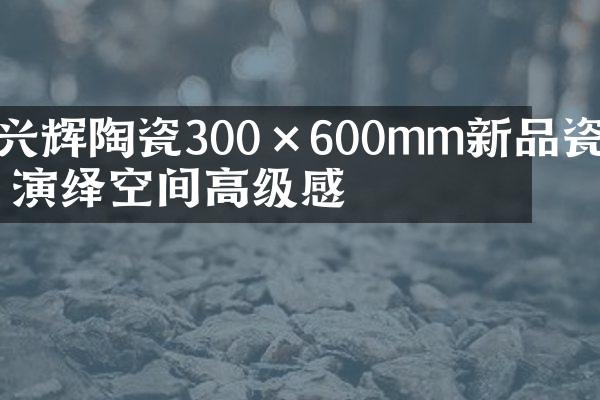 兴辉陶瓷300&times;600mm新品瓷片 演绎空间高级感
