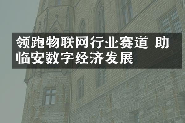 领跑物联网行业赛道 助力临安数字经济发展