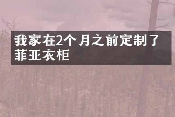 我家在2个月之前定制了索菲亚衣柜
