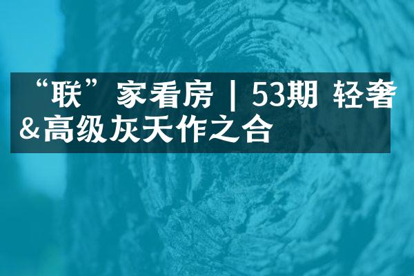 &ldquo;联&rdquo;家看房 | 53期 轻奢&高级灰天作之合