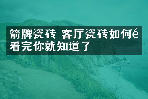 箭牌瓷砖 客厅瓷砖如何选看完你就知道了