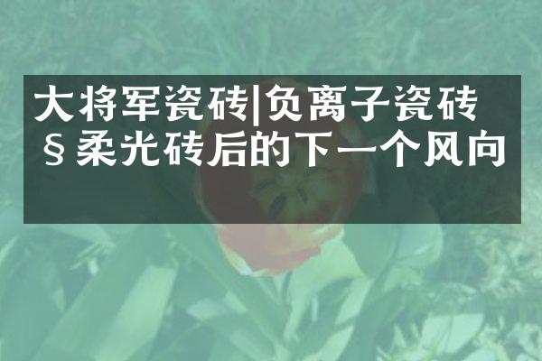 大将军瓷砖|负离子瓷砖继柔光砖后的下一个风向标