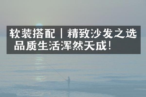 软装搭配｜精致沙发之选 品质生活浑然天成！