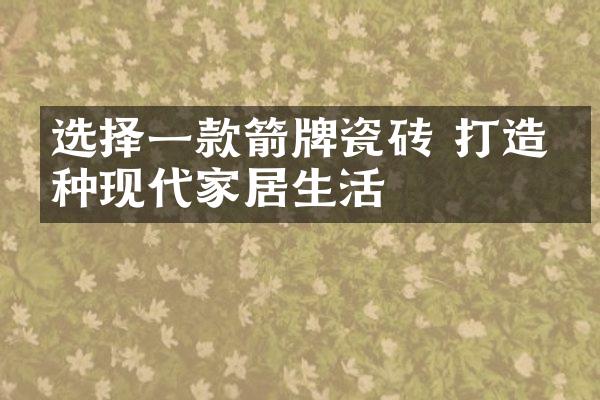 选择一款箭牌瓷砖 打造一种现代家居生活