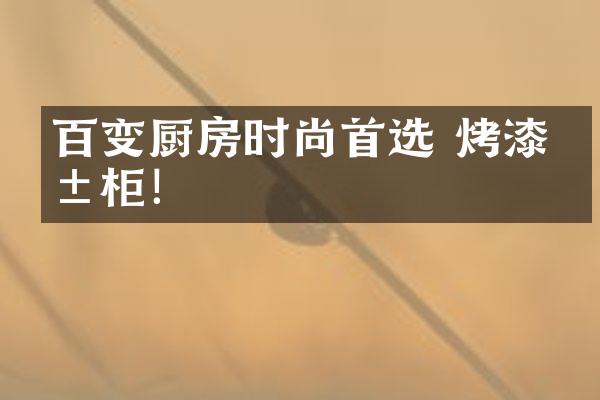 百变厨房时尚首选 烤漆橱柜！