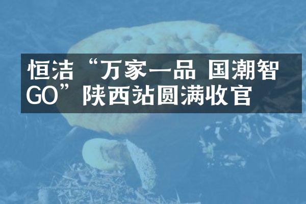 恒洁&ldquo;万家一品 国潮智享GO&rdquo;陕西站圆满收官