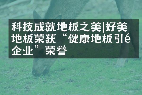科技成就地板之美|好美家地板荣获&ldquo;健康地板引领企业&rdquo;荣誉