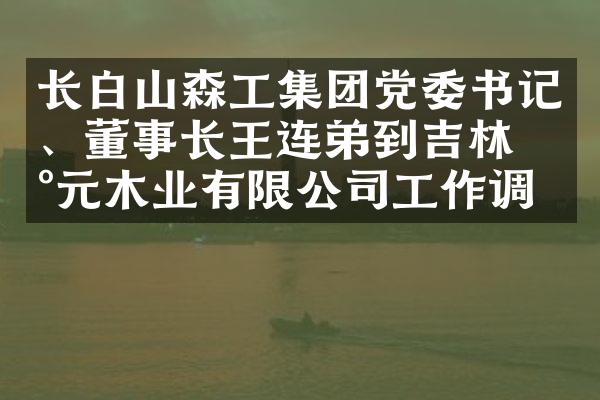长白山森工集团党委书记、董事长王连弟到吉林新元木业有限公司工作调研