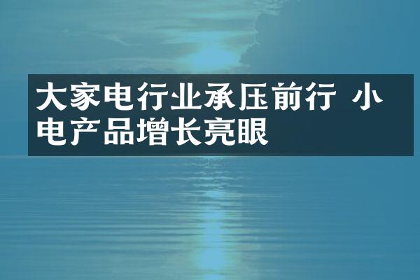 大家电行业承压前行 小家电产品增长亮眼