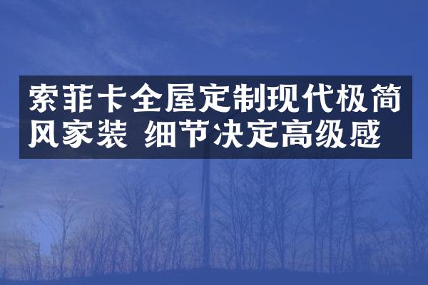 索菲卡全屋定制现代极简风家装 细节决定高级感