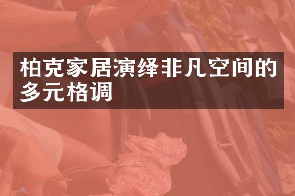 柏克家居演绎非凡空间的多元格调
