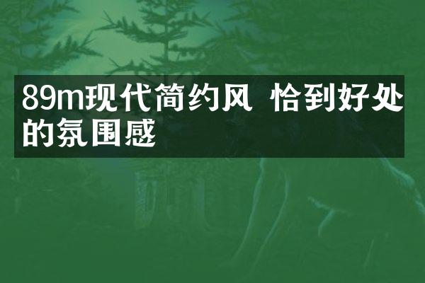 89m&sup2;现代简约风 恰到好处的氛围感