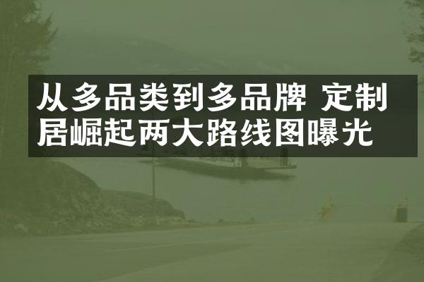 从多品类到多品牌 定制家居崛起两大路线图曝光