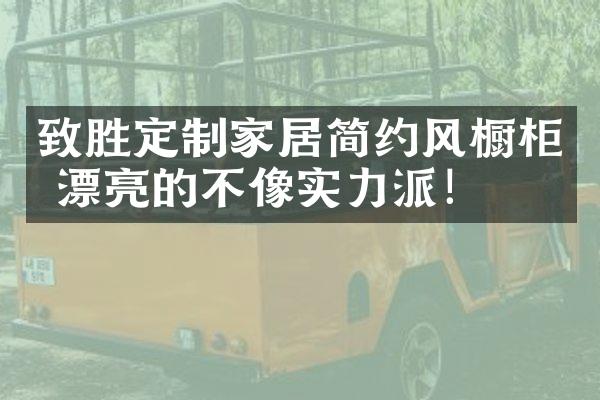 致胜定制家居简约风橱柜 漂亮的不像实力派！