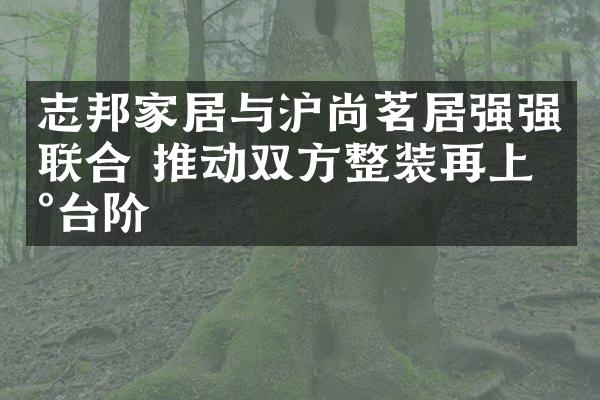 志邦家居与沪尚茗居强强联合 推动双方整装再上新台阶