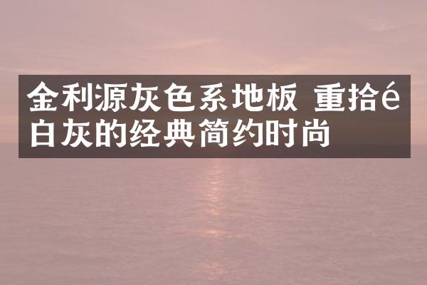金利源灰色系地板 重拾黑白灰的经典简约时尚