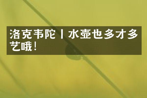 洛克韦陀丨水壶也多才多艺哦！