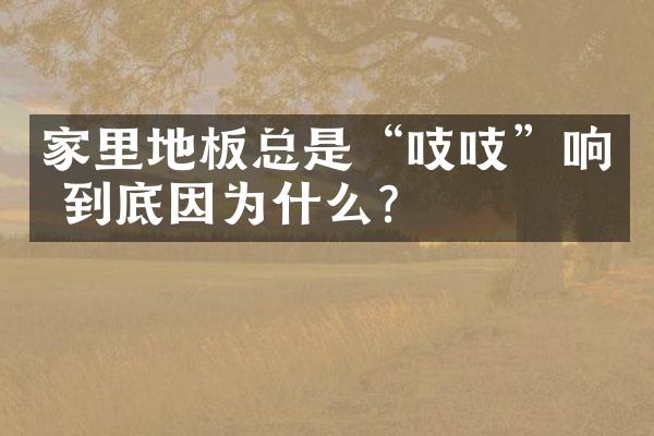 家里地板总是&ldquo;吱吱&rdquo;响 到底因为什么？
