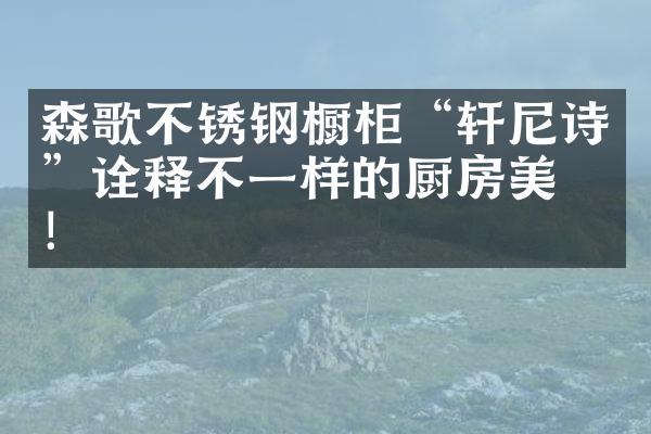 森歌不锈钢橱柜&ldquo;轩尼诗&rdquo;诠释不一样的厨房美学！