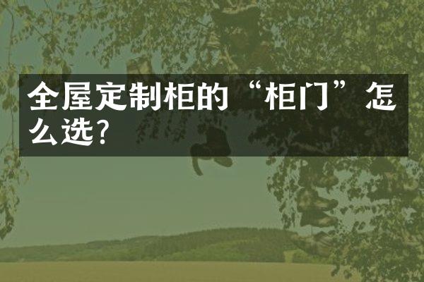 全屋定制柜的&ldquo;柜门&rdquo;怎么选？