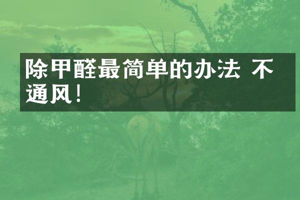 除甲醛最简单的办法 不是通风！