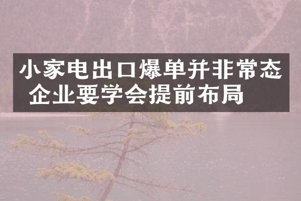 小家电出口爆单并非常态 企业要学会提前布局