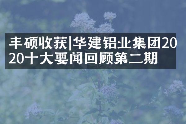 丰硕收获|华建铝业集团2020十大要闻回顾第二期