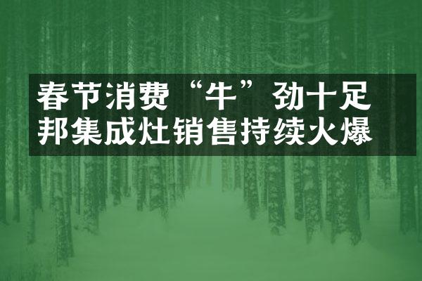 春节消费&ldquo;牛&rdquo;劲十足 潮邦集成灶销售持续火爆