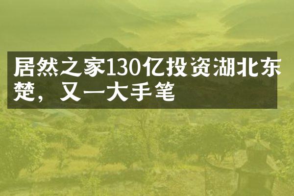 居然之家130亿投资湖北东楚，又一大手笔