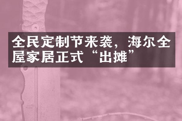 全民定制节来袭，海尔全屋家居正式&ldquo;出摊&rdquo;